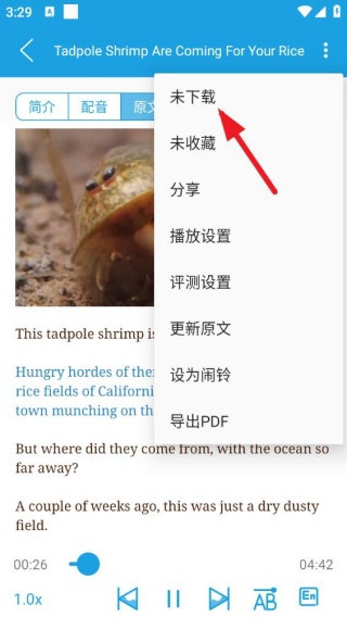 CNN英语