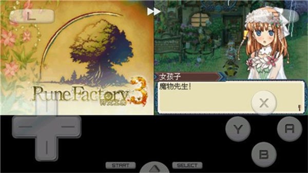 符文工房3豪华版截图1