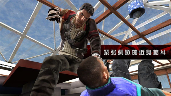 职业杀手2截图3