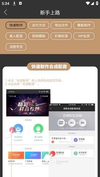 配音阁老版本