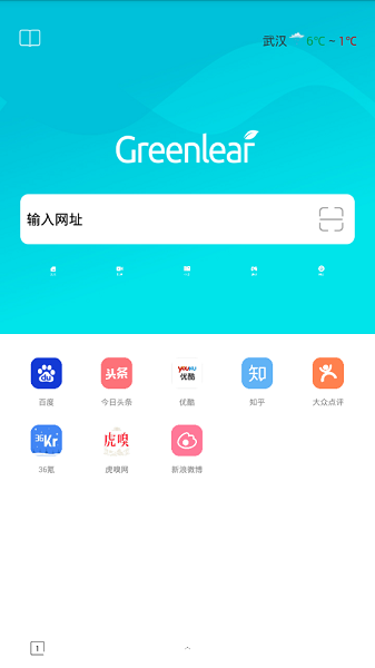 绿叶浏览器国际版截图1