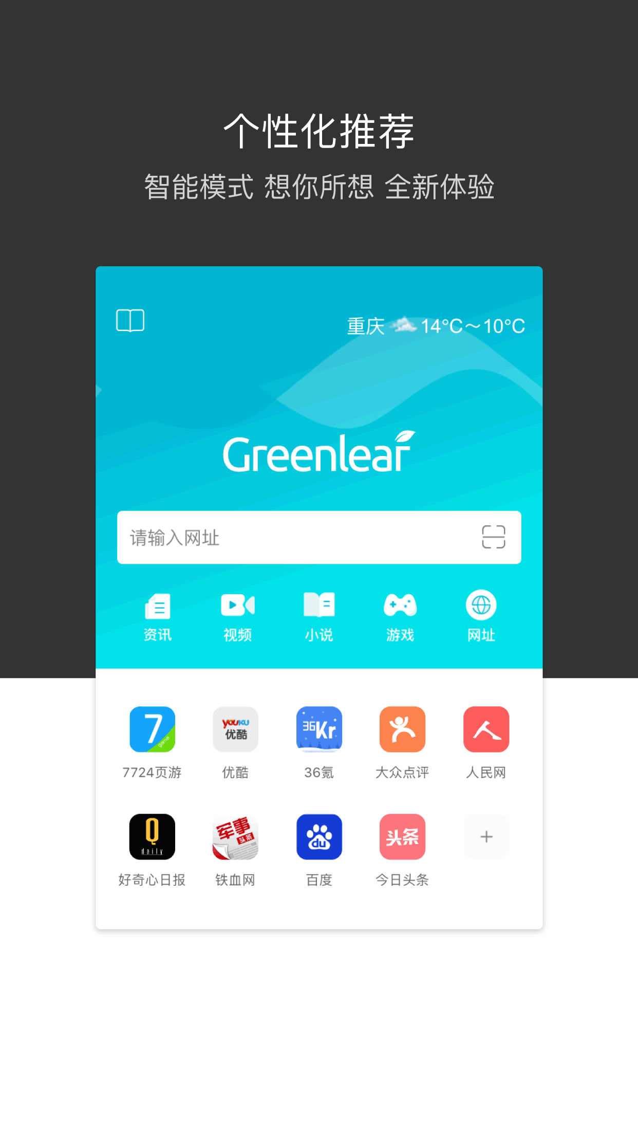 绿叶浏览器国际版截图2