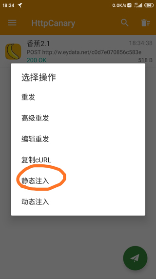 HttpCanary专业版