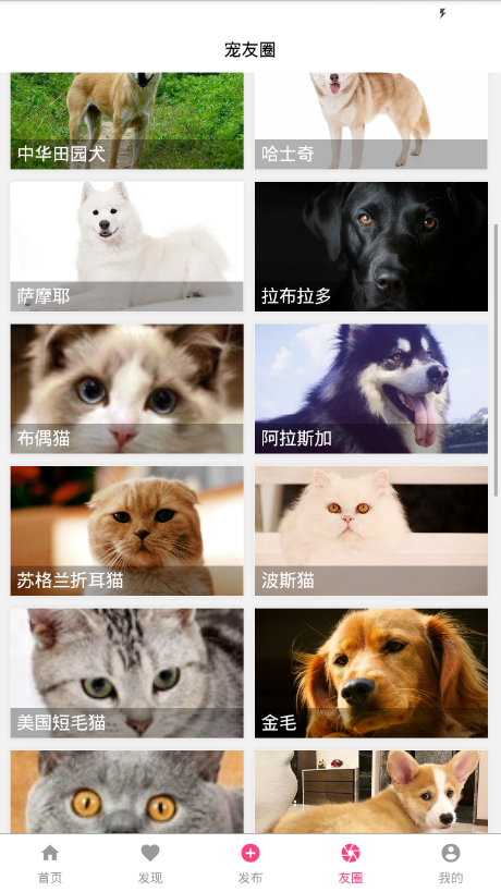 宠友帮截图3