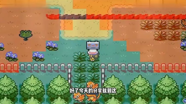 宝可梦纹章