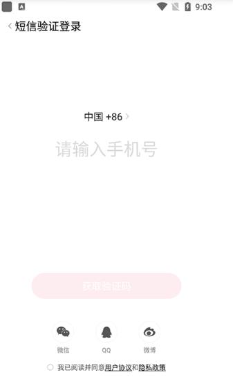 糖猫