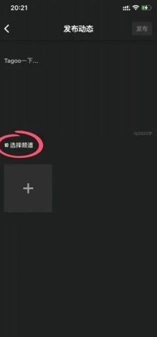 Tagoo国际版