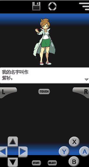 口袋妖怪黑白2中文版