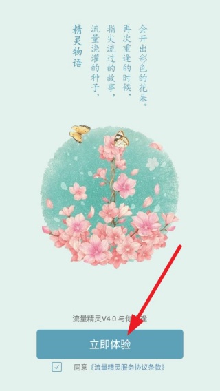 流量精灵