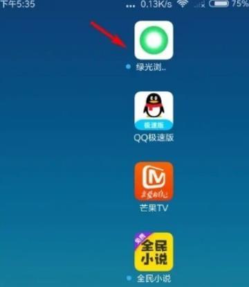 SGreen浏览器最新版