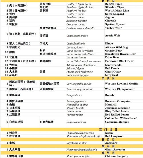 动物园之星
