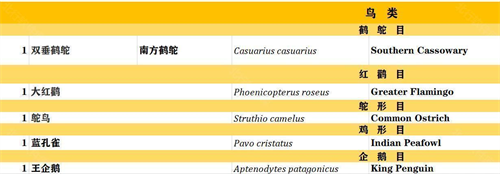 动物园之星