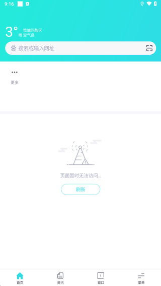 绿叶浏览器国际版
