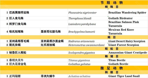 动物园之星