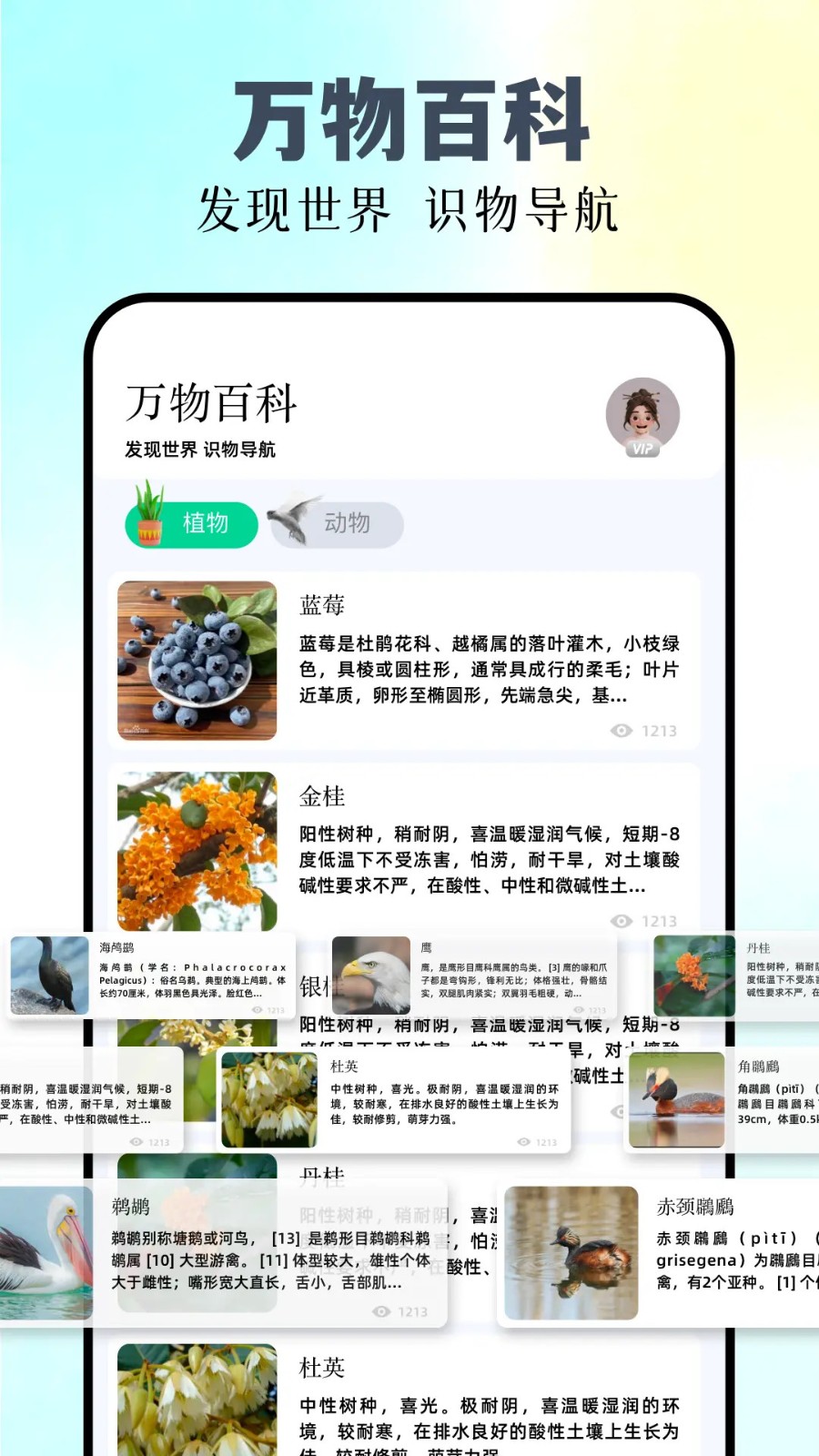 识万物最新版截图3