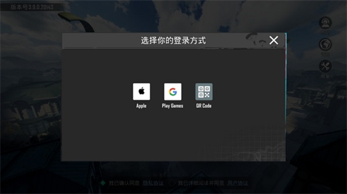 PUBG MOBILE(国际服)