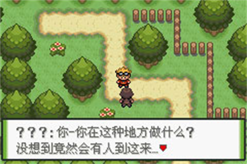 口袋妖怪轴芯