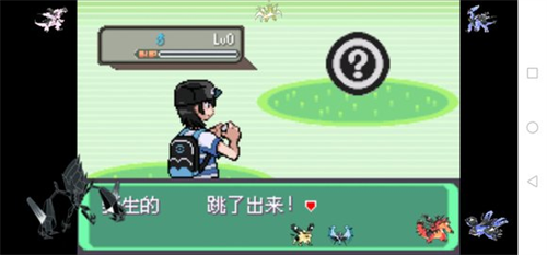 口袋妖怪日月宝石八木特别篇