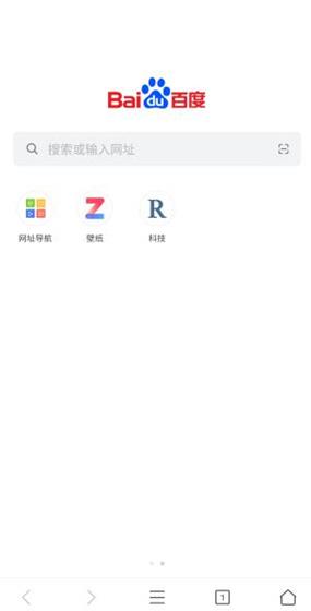PP浏览器