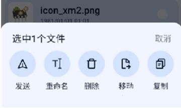 NEXT快传手表版