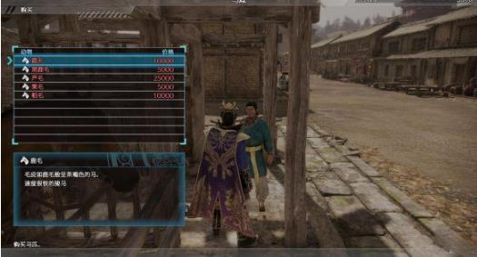 真三国无双8单机版