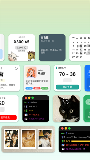 会话微件老版本截图4