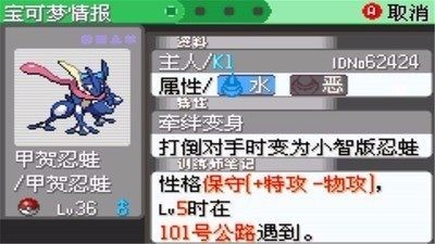口袋妖怪刽曜之影截图1