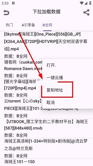 磁力兔子搜索引擎安卓版