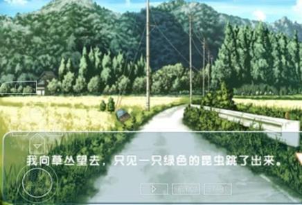 缘之空