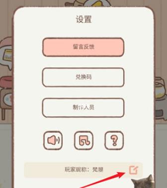 离家的猫