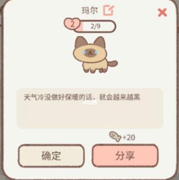 离家的猫