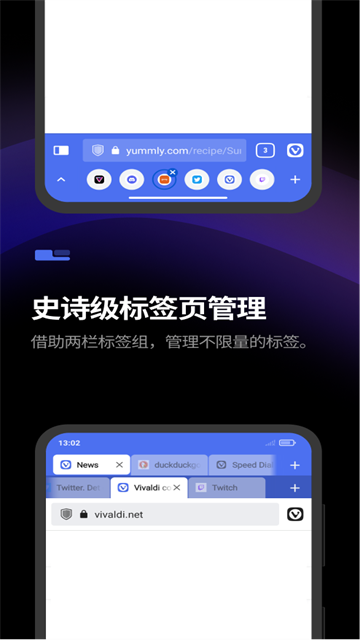 Vivaldi浏览器安卓版截图2