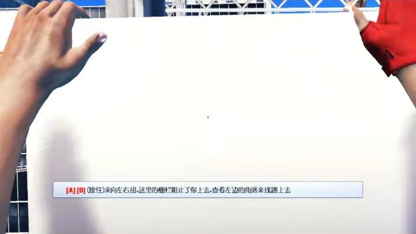 镜之边缘中文版