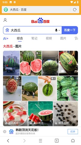 Fiery浏览器截图3