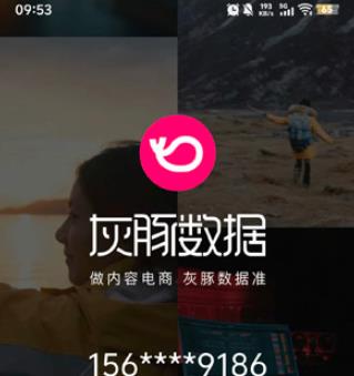 灰豚数据