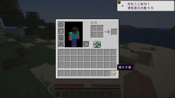 我的世界1.19国际版