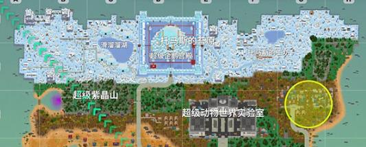 小动物之星国际服