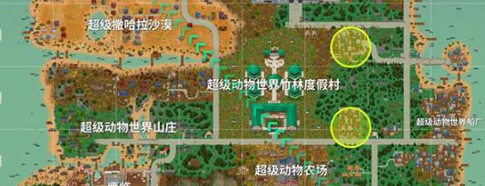 小动物之星国际服