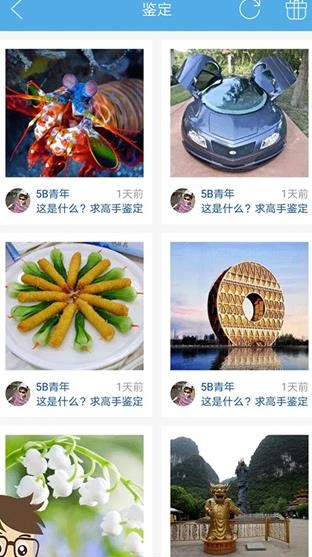 慧眼识图