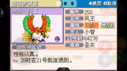 口袋妖怪叶绿中文版