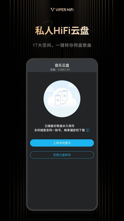 VIPERHiFi截图1