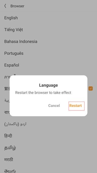UC浏览器国际版