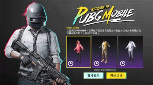 PUBG MOBILE(国际服)