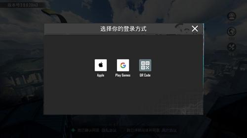 PUBG MOBILE(国际服)