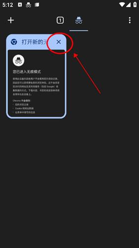 谷歌浏览器手机版