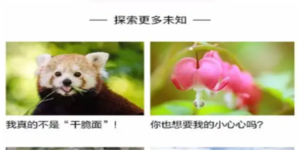 图片识别软件合集