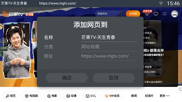 飞视浏览器TV版