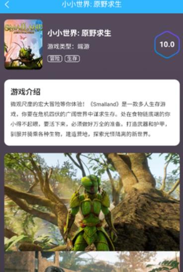 创亿云游