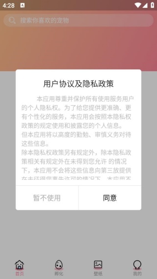 呆呆鱼桌面宠物
