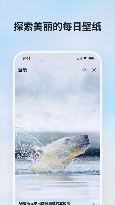 必应国际版截图4